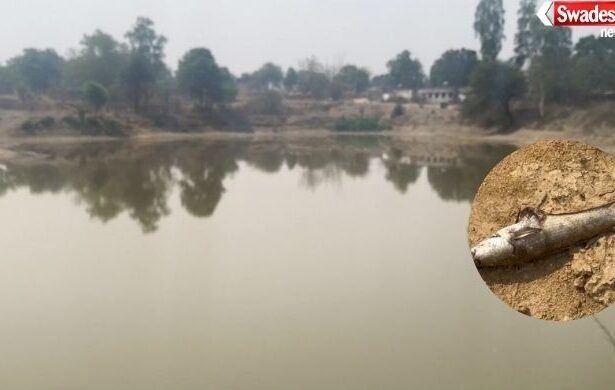 Toxic Substance in Village Pond