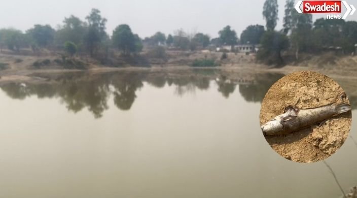 Toxic Substance in Village Pond
