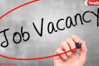 Job