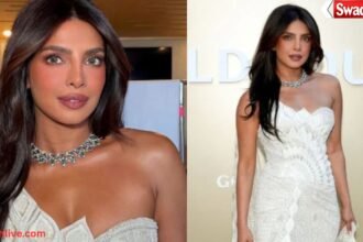 https://swadeshlive.com/priyanka-chopra-vintage-look/