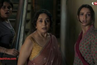 https://swadeshlive.com/maa-behen-netflix-release-date-madhuri-dixit/