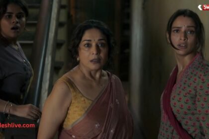 https://swadeshlive.com/maa-behen-netflix-release-date-madhuri-dixit/