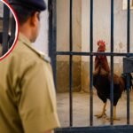 https://swadeshlive.com/khabar-zara-hatke-chhatarpur-police-lockup-viral-video/