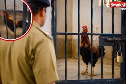 https://swadeshlive.com/khabar-zara-hatke-chhatarpur-police-lockup-viral-video/