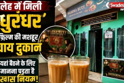 https://swadeshlive.com/khabar-zara-hatke-ladakh-viral-tea-shop/