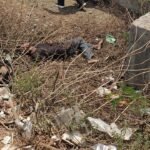 https://swadeshlive.com/raipur-chunabhatti-dead-body-case/