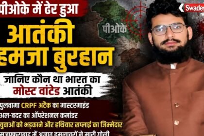 https://swadeshlive.com/pok-hamza-burhan-killed/