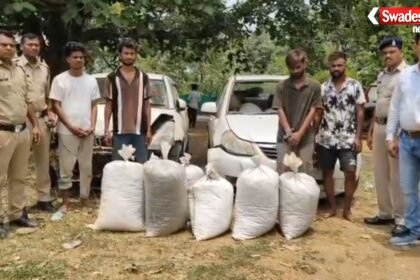 https://swadeshlive.com/gariaband-ganja-smuggling-case/