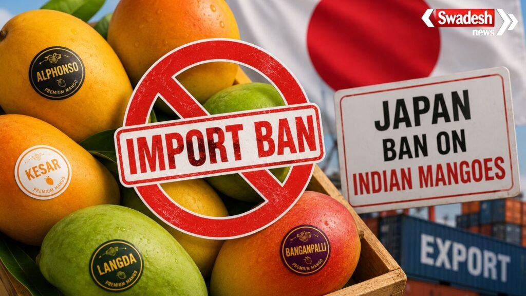 https://swadeshlive.com/japan-ban-indian-mangoes/