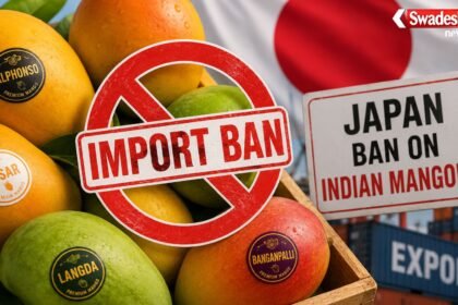 https://swadeshlive.com/japan-ban-indian-mangoes/
