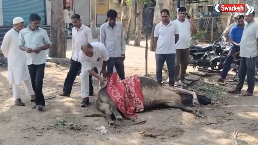 https://swadeshlive.com/khanpur-road-accident/