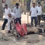 https://swadeshlive.com/khanpur-road-accident/