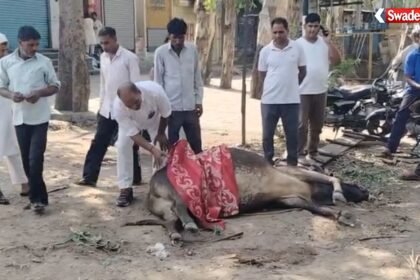 https://swadeshlive.com/khanpur-road-accident/