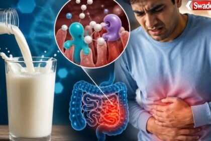 https://swadeshlive.com/lactose-intolerance-milk-digestion-science/