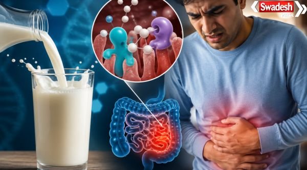 https://swadeshlive.com/lactose-intolerance-milk-digestion-science/