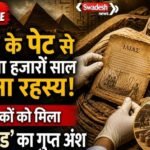 https://swadeshlive.com/khabar-zara-hatke-egypt-mummy-mystery/