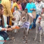 Unique Protest donkeys-fed-gulab-jamun-to-protest