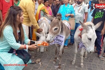 Unique Protest donkeys-fed-gulab-jamun-to-protest