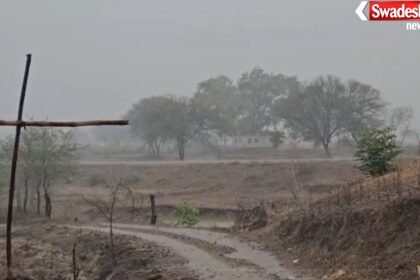 https://swadeshlive.com/khairagarh-chhattisgarh-weather-update/