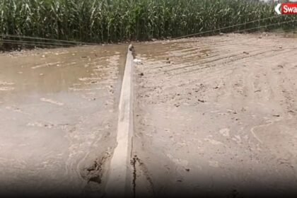 https://swadeshlive.com/yamunanagar-electric-pole-accident/