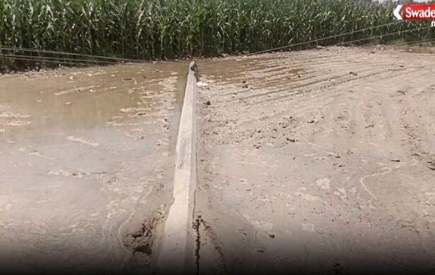 https://swadeshlive.com/yamunanagar-electric-pole-accident/
