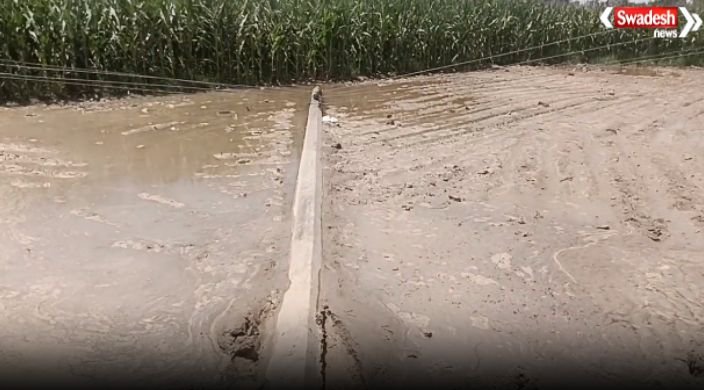https://swadeshlive.com/yamunanagar-electric-pole-accident/