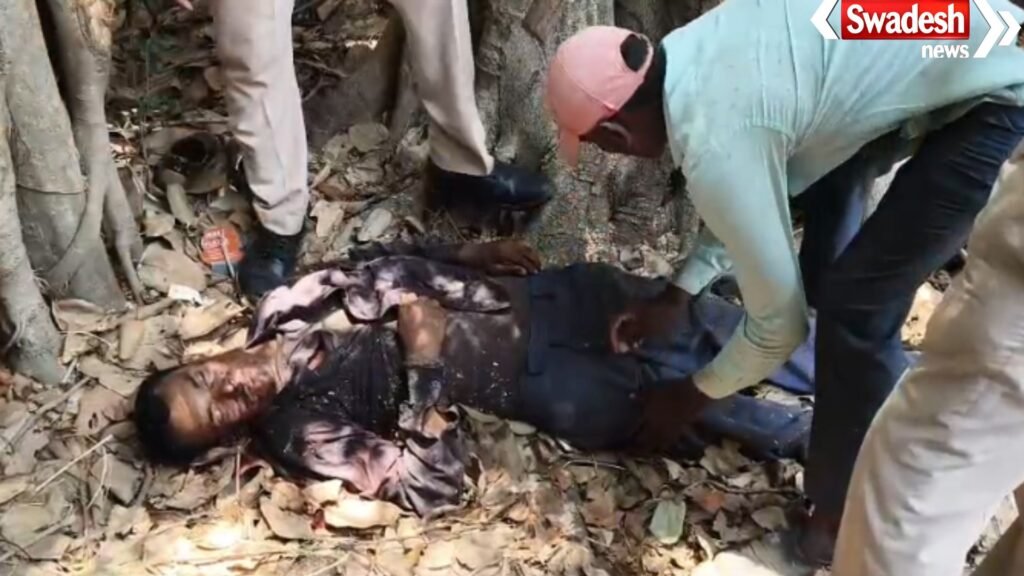 Tree Cutting Accident