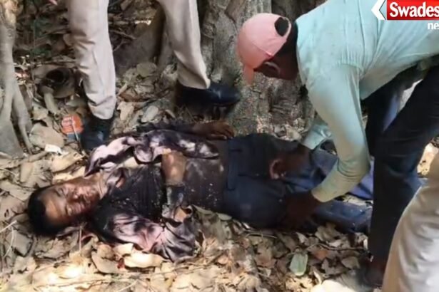 Tree Cutting Accident