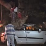 Tree Branch Accident