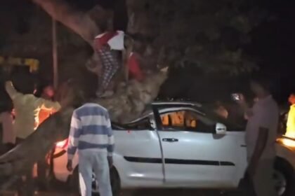 Tree Branch Accident