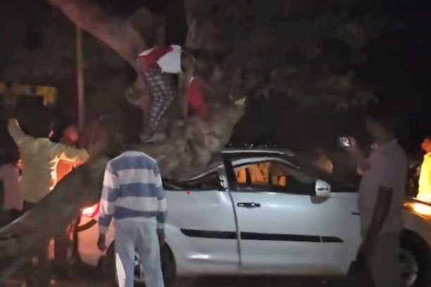 Tree Branch Accident