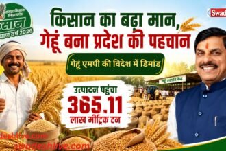 Wheat Procurement MP