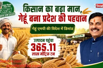 Wheat Procurement MP