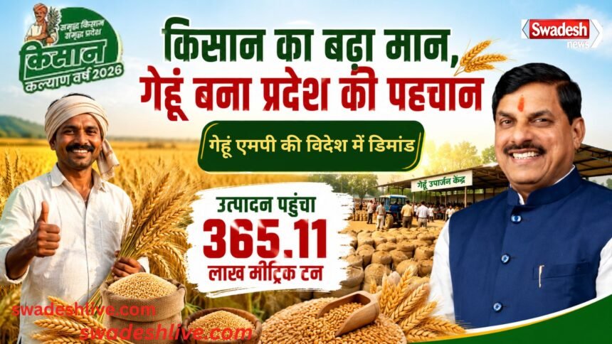 Wheat Procurement MP