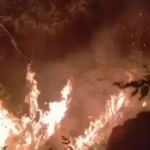 https://swadeshlive.com/uttarkashi-forest-fire-varunavat-jungle-alert/