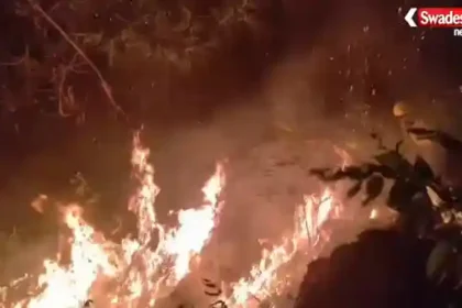 https://swadeshlive.com/uttarkashi-forest-fire-varunavat-jungle-alert/