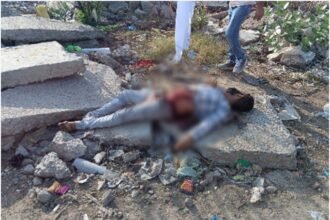https://swadeshlive.com/rohtak-youth-murder-shivaji-colony/