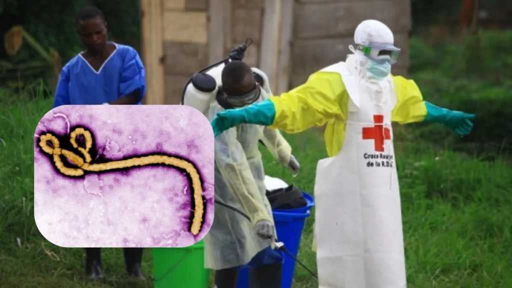 Congo Ebola Virus