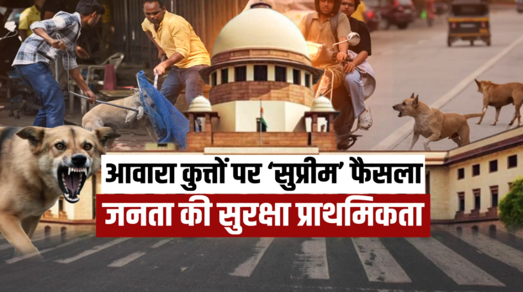 Stray Dog Verdict