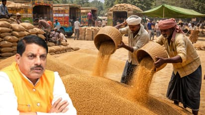 MP Wheat Procurement