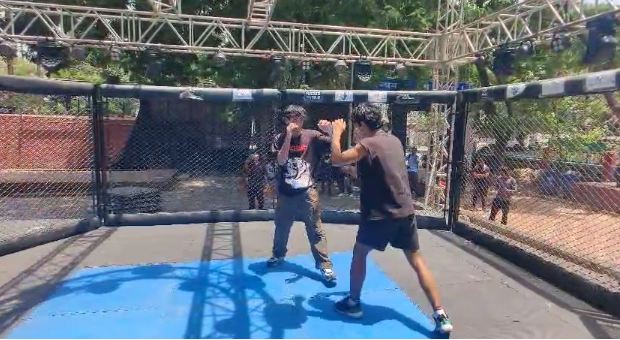 MMA Fight