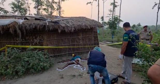 Forest Murder