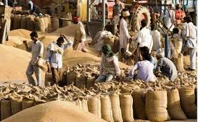 MP Wheat Procurement
