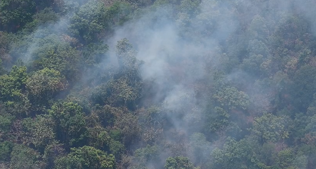 Forest Fire Dantewada 