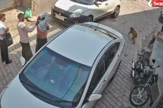 https://swadeshlive.com/kalayat-monkey-attack-news/