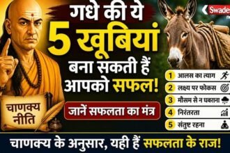 https://swadeshlive.com/chanakya-niti-success-tips-donkey-qualities/
