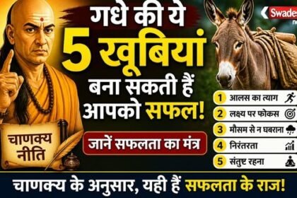 https://swadeshlive.com/chanakya-niti-success-tips-donkey-qualities/