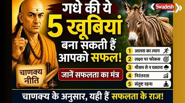 https://swadeshlive.com/chanakya-niti-success-tips-donkey-qualities/