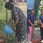 Animal Welfare and Environment Protection