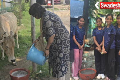 Animal Welfare and Environment Protection